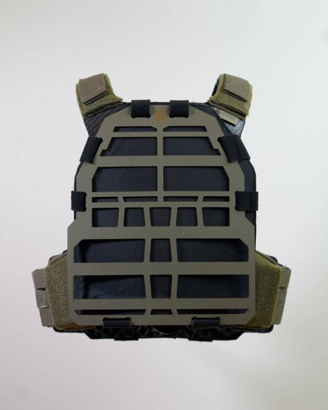 Radion Plate Carrier Green